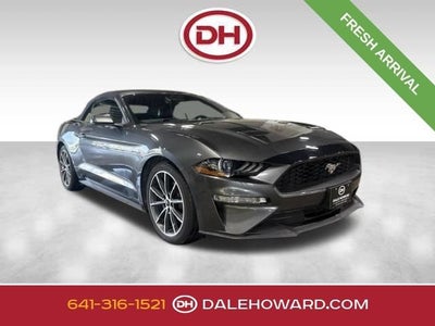 2019 Ford Mustang EcoBoost