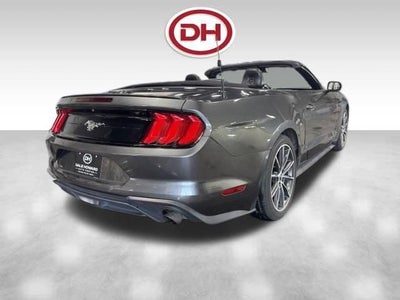 2019 Ford Mustang EcoBoost