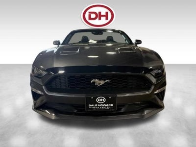 2019 Ford Mustang EcoBoost