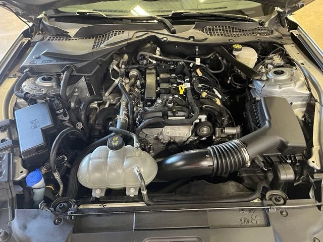 2023 Ford Mustang EcoBoost