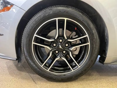2023 Ford Mustang EcoBoost